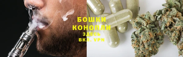 амф Жердевка