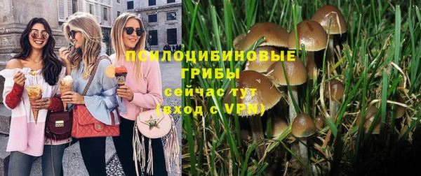 амф Жердевка