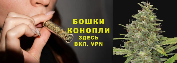 Альфа ПВП Белокуриха