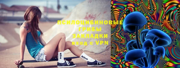 дживик Беломорск