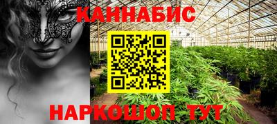 стаф Брянск