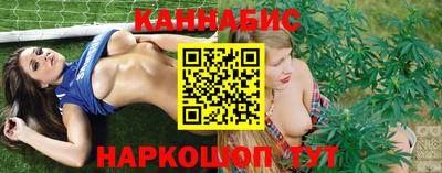 стаф Брянск
