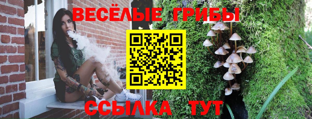 Галлюциногенные грибы Psilocybine cubensis  Вход с VPN  Воскресенск 