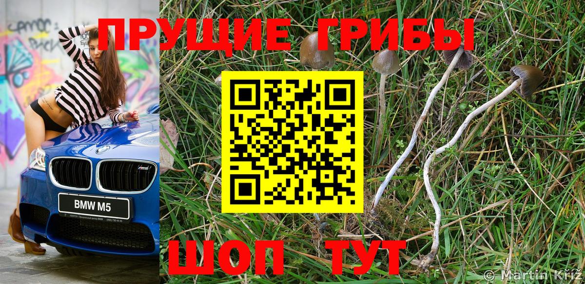 Псилоцибиновые грибы мицелий Воскресенск